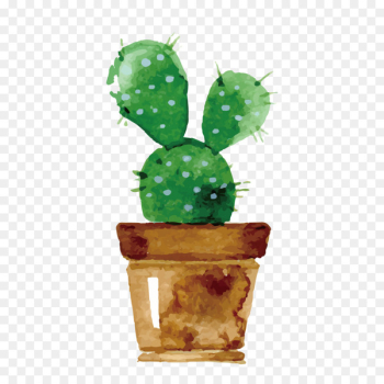 Cactaceae Watercolor painting Drawing Succulent plant Wallpaper - Watercolor cactus 