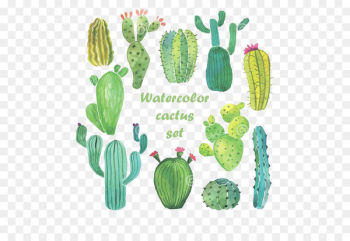 Cactaceae Watercolor painting Drawing - Watercolor cactus Cactaceae Watercolor painting Drawing - Watercolor cactus