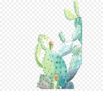 Cactaceae Watercolor painting Illustration - Watercolor cactus 