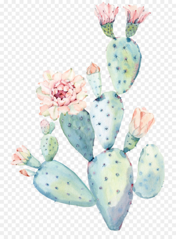 Cactaceae Watercolor painting Saguaro - cactus Cactaceae Watercolor painting Saguaro - cactus