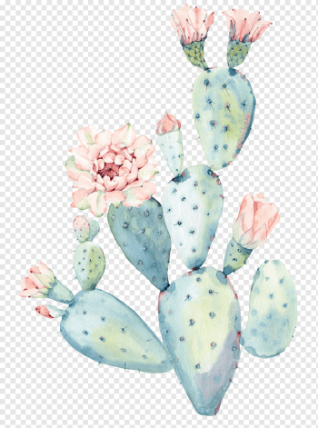 Cactaceae Watercolor painting Saguaro, Hand painted watercolor cactus, green cactus illustrarion, botany, watercolor Leaves, painted png