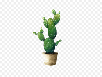 Cactaceae Watercolor painting Succulent plant Drawing - cactus 