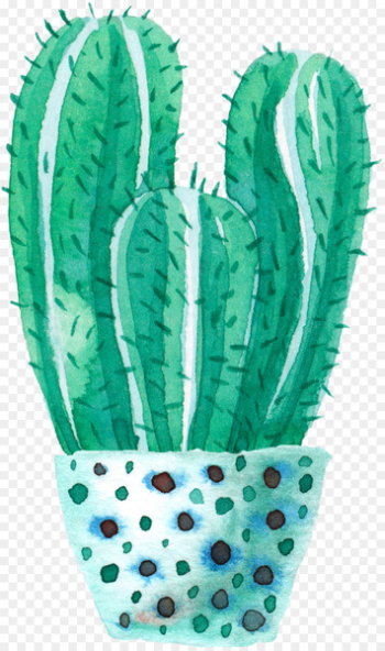 Cactaceae Watercolor painting - Watercolor potted cactus Cactaceae Watercolor painting - Watercolor potted cactus