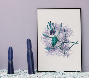 Cacti And Frame Cacti And Frame