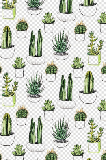 Cacti illustration, Paper Cactaceae Cacti & Succulents Printmaking Succulent plant, Cactus background shading transparent background PNG clipart