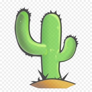 Cactus Cactus