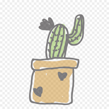 Cactus Cactus