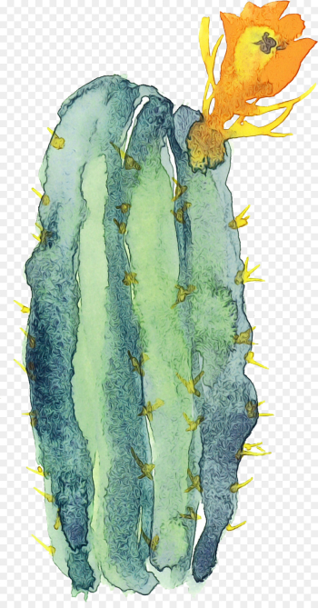 Cactus Cactus