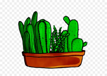 Cactus Cactus