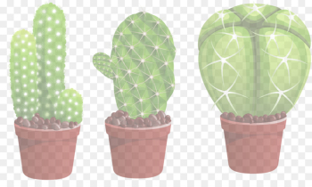 Cactus Cactus