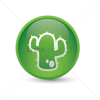 Cactus Cactus