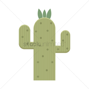 Cactus Cactus