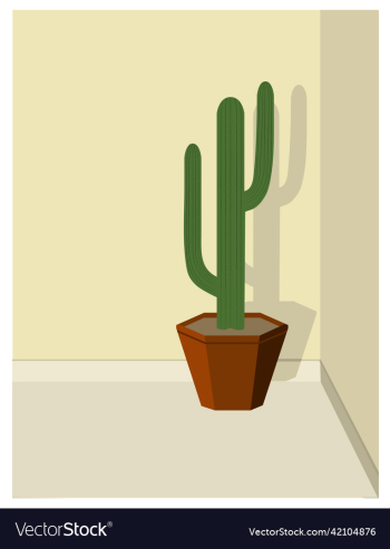 cactus cactus