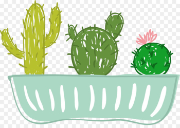Cactus Illustration Graphics Drawing Flowerpot - potted cactus 