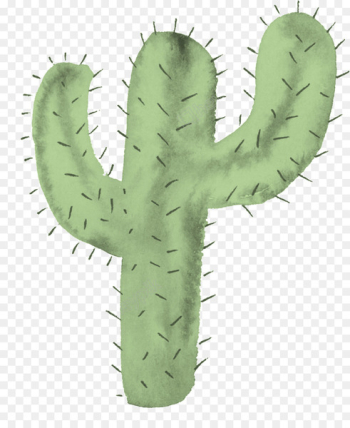 Cactus Image Transparency Portable Network Graphics Clip art - cactus 