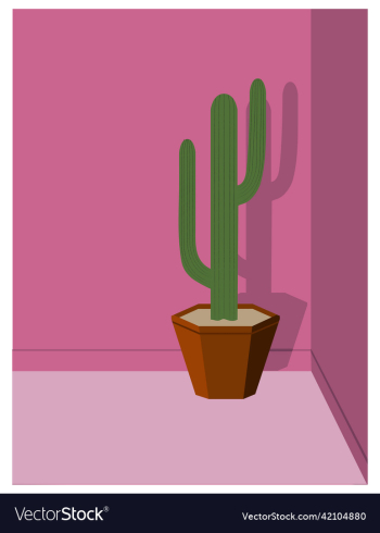 cactus in pink cactus in pink