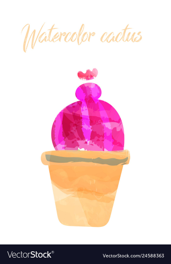 Cactus isolated on white background watercolor vector image Cactus isolated on white background watercolor vector image