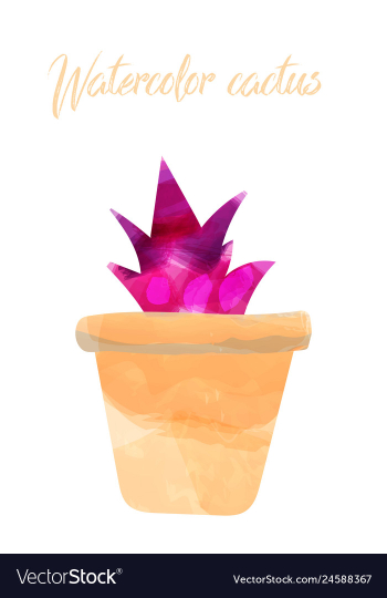 Cactus isolated on white background watercolor vector image Cactus isolated on white background watercolor vector image