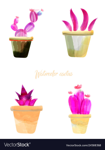 Cactus isolated on white background watercolor vector image Cactus isolated on white background watercolor vector image