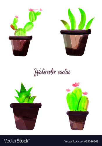 Cactus isolated on white background watercolor vector image Cactus isolated on white background watercolor vector image