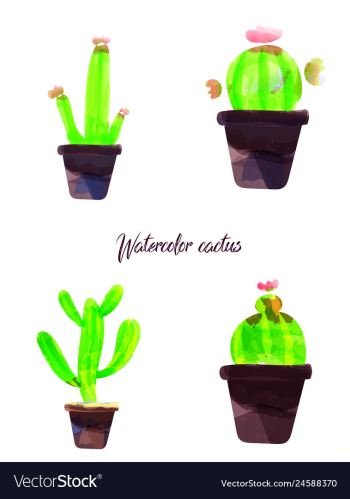 Cactus isolated on white background watercolor vector image Cactus isolated on white background watercolor vector image