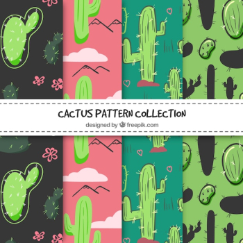 Cactus pattern collection Cactus pattern collection