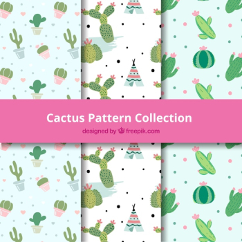 Cactus patterns with hand drawn style Cactus patterns with hand drawn style
