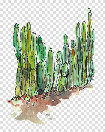 Cactus plants illustration, Cactaceae Desert Succulent plant Cactus fence, cactus transparent background PNG clipart