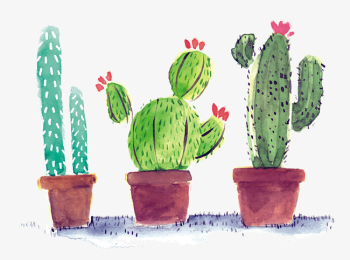 Cactus PNG Images | Vectors and PSD Files | Free Download on Pngtree