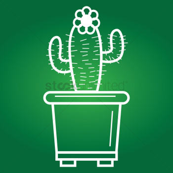 Cactus pot Cactus pot