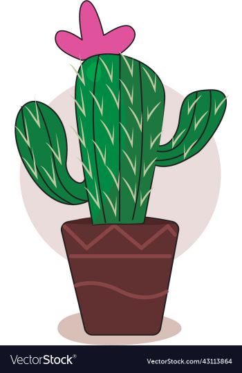 cactus with flower cactus with flower