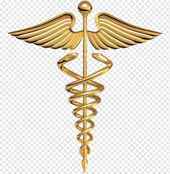 caduceus symbol, Staff of Hermes Caduceus as a symbol of medicine Caduceus as a symbol of medicine, Medical Logo, medicine, hermes, asclepius png