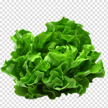 Caesar salad Food Leaf vegetable Kapsalon, salad transparent background PNG clipart Caesar salad Food Leaf vegetable Kapsalon, salad transparent background PNG clipart