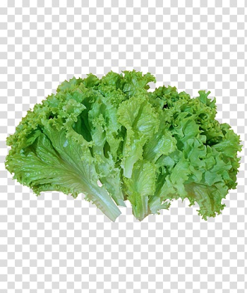 Caesar salad Leaf vegetable Lettuce, vegetable transparent background PNG clipart Caesar salad Leaf vegetable Lettuce, vegetable transparent background PNG clipart
