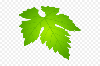 Cafe MORRIS Koshu Restaurant Tea - Cafe MORRIS Koshu Restaurant Tea -