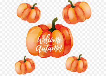 Calabaza Habanero Pumpkin Watercolor painting - Watercolor pumpkin Poster 