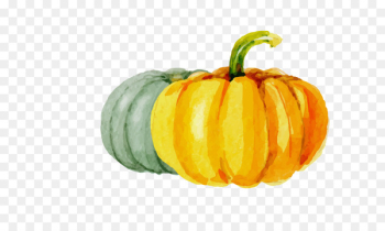 Calabaza Kabocha Pumpkin Halloween - Drawing Pumpkin Calabaza Kabocha Pumpkin Halloween - Drawing Pumpkin