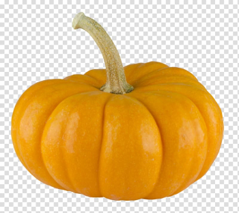 Calabaza , pumpkin transparent background PNG clipart Calabaza , pumpkin transparent background PNG clipart