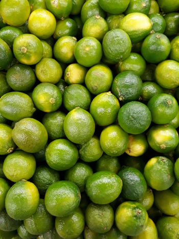 Calamansis Calamansis