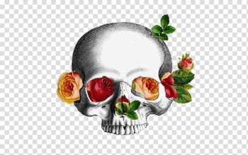 Calavera Flower Bone Skull, Flowers bones transparent background PNG clipart