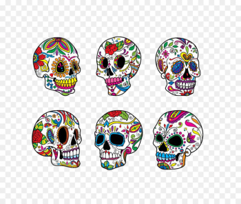 Calavera Skull Illustration - Skull Calavera Skull Illustration - Skull