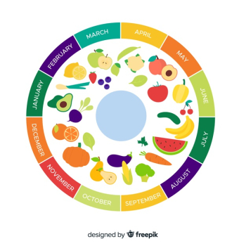 Calendar of seasonal vegetables and fruits Free Vector Calendar of seasonal vegetables and fruits Free Vector