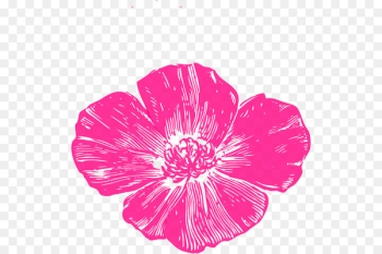California poppy Clip art Portable Network Graphics Common poppy - anzac poppy 