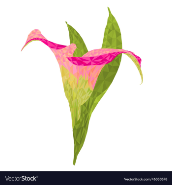 calla lily pink flowers and leaves polygons