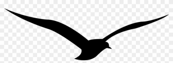 Calligraphy Alphabet Runic Z - European Swallow Calligraphy Alphabet Runic Z - European Swallow