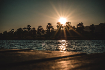 Calm Body of Water Near Trees during Golden Hour