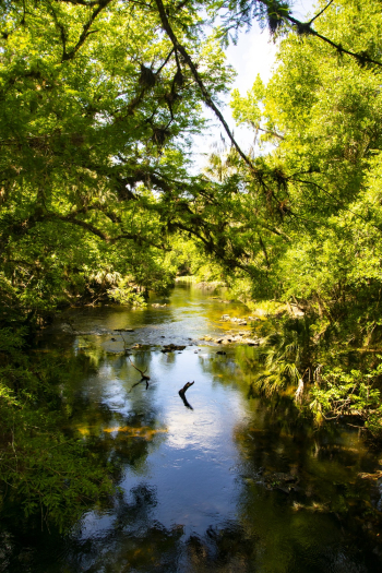 Calm River Calm River