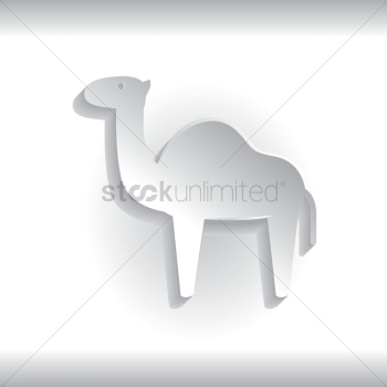 Camel Camel