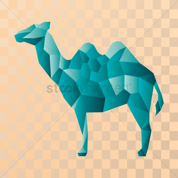 Camel Camel