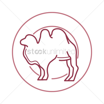 Camel Camel
